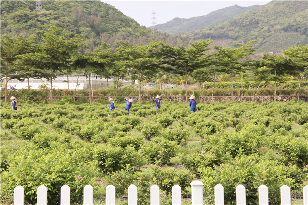 优秀员工及家属三亚行